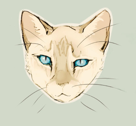 Unshaded