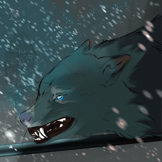 Unshaded (+0€/Pln)